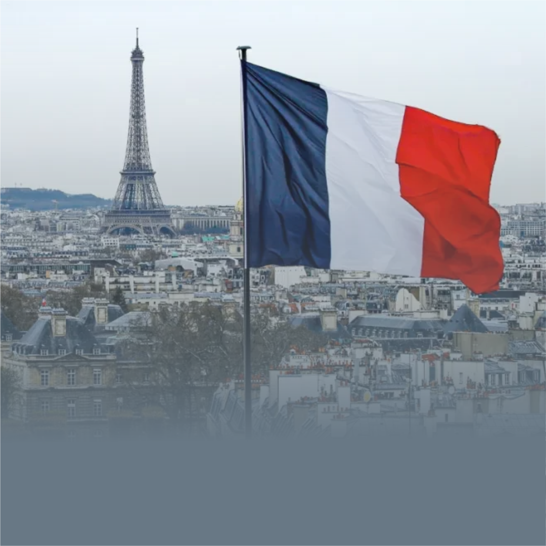 frança site.png