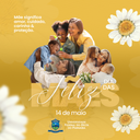 maesfeed - Copia2.png