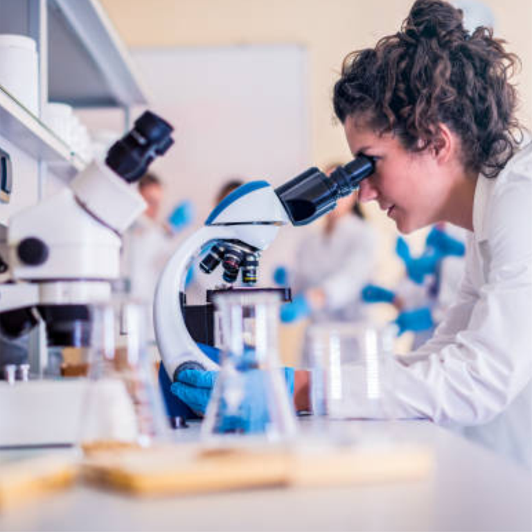 WhatsApp Image 2024-01-11 at 13.18.16.jpeg