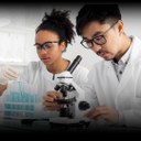 WhatsApp Image 2024-02-06 at 08.53.47.jpeg