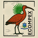 Design sem nome (12).png