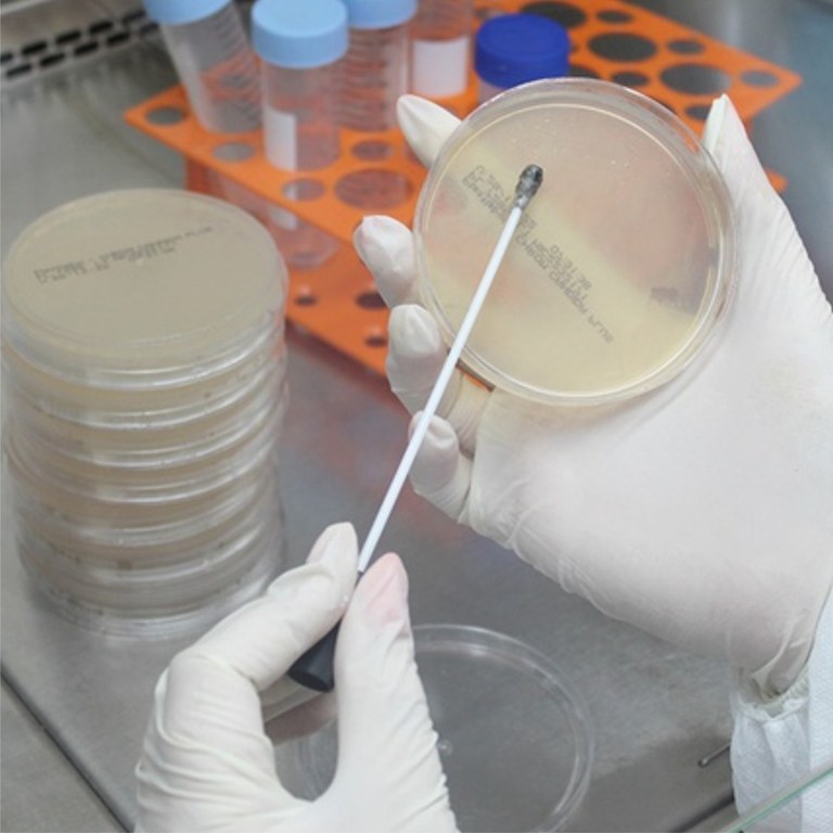 WhatsApp Image 2024-01-04 at 16.46.22.jpeg