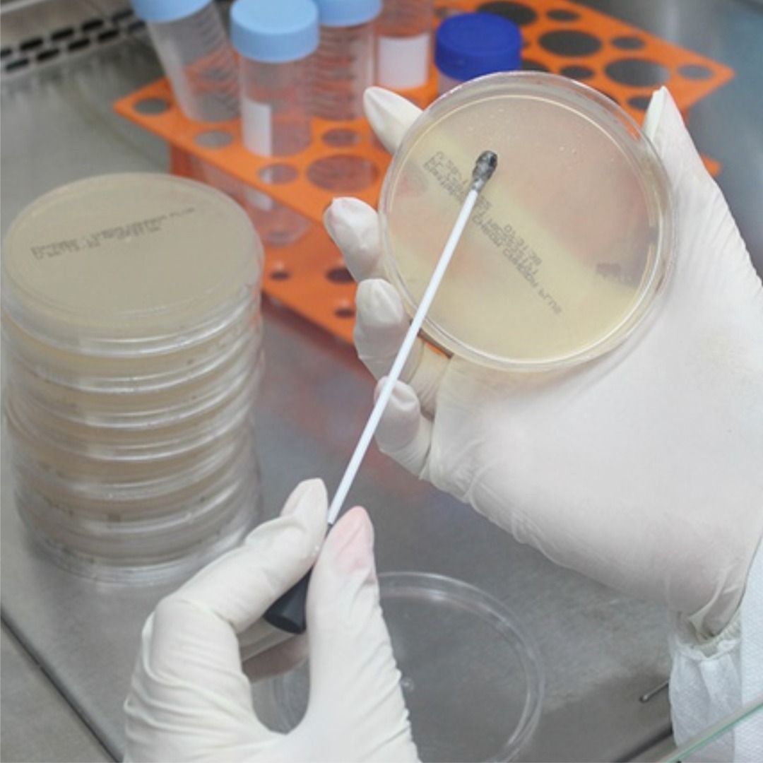 WhatsApp Image 2024-01-04 at 16.46.22.jpeg