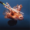 WhatsApp Image 2023-12-19 at 16.50.10.jpeg