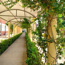 WhatsApp Image 2023-06-12 at 08.22.16.jpeg