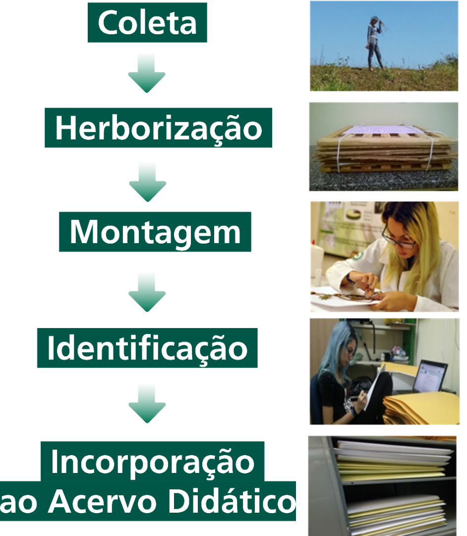 dinâmica02.png