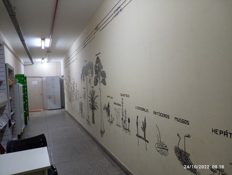 imagem_01.jpg imagem_01.jpg