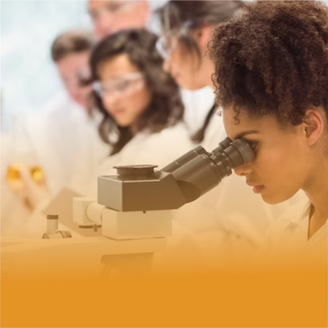 WhatsApp Image 2023-10-26 at 08.54.04.jpeg