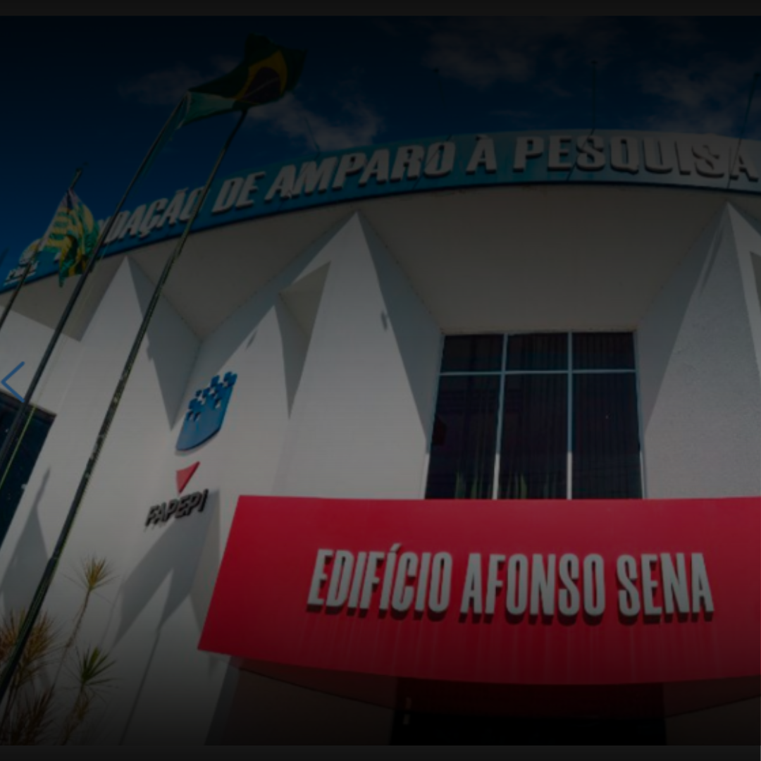 Padrão Feed Instagram).png