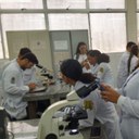 WhatsApp Image 2025-05-07 at 10.04.24.jpeg